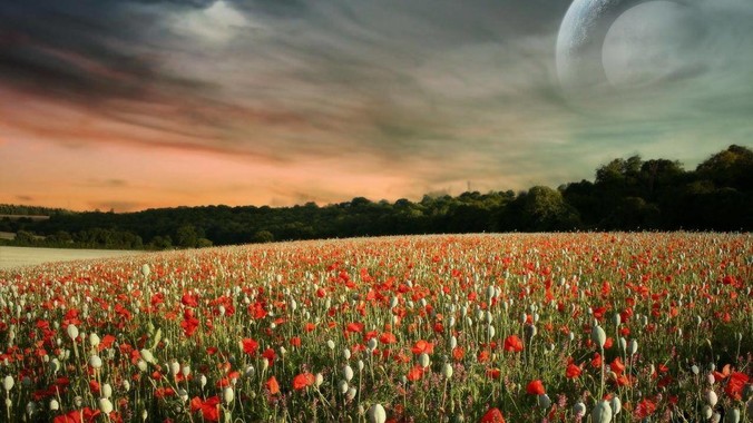 为什么朝鲜始终未解决粮食短缺问题?